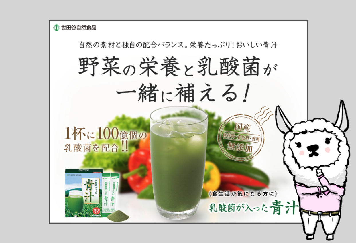世田谷自然食品 乳酸菌が入った青汁 30包 4ケ - www.suguru.jp