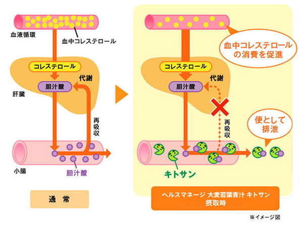 大正製薬「ヘルスマネージ大麦若葉青汁キトサン」の特徴を口コミ・評判